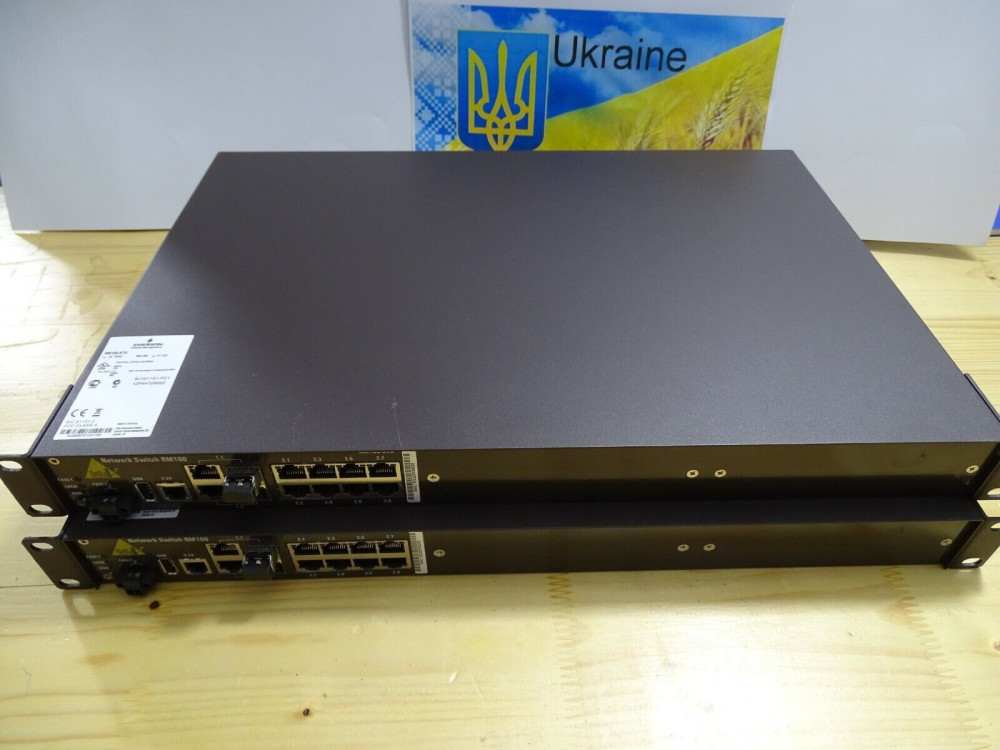 RM100-8TX | Emerson - Зображення 1