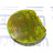 Honeywell Enraf 854 ATG XPU / XPU1 854.635-43, S0854635 + Display Assembly (№ 3) XPU / XPU1 | Honeywell - Зображення 12